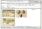 Karteikarte zum Holotyp von Triloculina pyrula Karrer, 1867